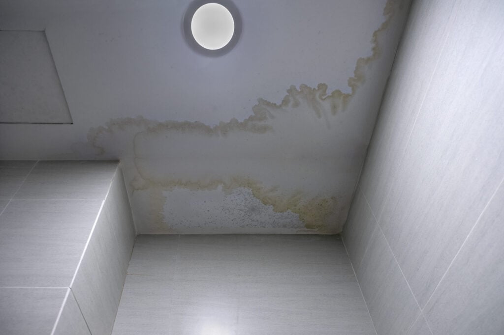 plumber identifies mildew stains on ceiling